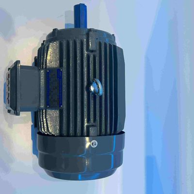 300hp Dust Proof Variable Speed Electric Motor For Transport Machinery