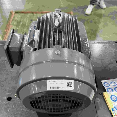 60hz Accurate Braking Low Voltage Electric Motors for remedy apparatus