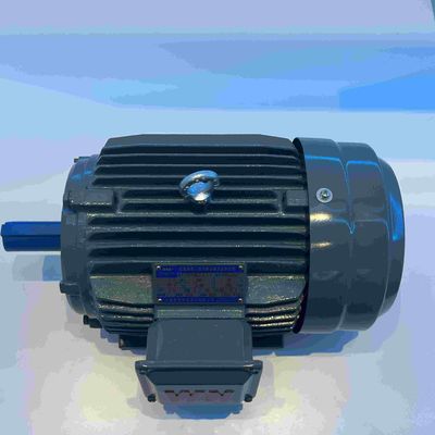 300hp Dust Proof Variable Speed Electric Motor For Transport Machinery